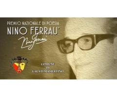 Premio Nazionale di poesia “Nino Ferraù” 2025 XIII Edizione
