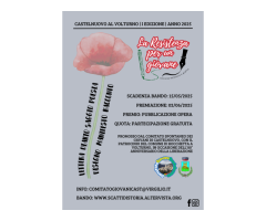 La Resistenza per un giovane