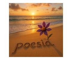 TRACCE DI SABBIA – Concorso Lett. Naz. di POESIA per Raccolte di poesie